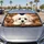 duiyfppz/products/6a4cad01f4763c1b5006e140/gallery/-DostarIkb