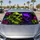 duiyfppz/products/6a4cad29aafca36e4609b4ca/gallery/Q-5pPj1LVh