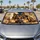 duiyfppz/products/6a4cb7e7c819518ca6bff222/gallery/U2FoQ5y-wW