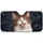 duiyfppz/products/6a4cb880ac59e6543d62e1a6/gallery/ijsZg0jJY6