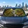 Enchanted Forest Deer Stream Waterfall Wildlife Scene For Nature Lovers Decor Gift Car Sunshade - 5