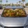 Green Grasshopper Family Road Trip Luxury Cabin Scene For Urban Travel Lovers Gift Car Sunshade - 4