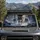Misty Snowy Forest Wolf Pack Wilderness Scene For Rustic Winter Nature Lovers And Fans Car Sunshade - 2