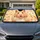 Cute Golden Hamster With Peace Paws And Sunflower Seeds For Cozy Pet Lover Style Car Sunshade - 1
