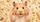 Cute Golden Hamster With Peace Paws And Sunflower Seeds For Cozy Pet Lover Style Car Sunshade - 6