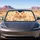 Cute Golden Hamster With Peace Paws And Sunflower Seeds For Cozy Pet Lover Style Car Sunshade - 4