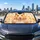 Cute Golden Hamster With Peace Paws And Sunflower Seeds For Cozy Pet Lover Style Car Sunshade - 5