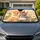 Realistic Kitten Hugging Bunny With Meadow Flowers For Cozy Animal Lovers Decor Gift Car Sunshade - 1