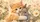Realistic Kitten Hugging Bunny With Meadow Flowers For Cozy Animal Lovers Decor Gift Car Sunshade - 6