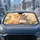 Realistic Kitten Hugging Bunny With Meadow Flowers For Cozy Animal Lovers Decor Gift Car Sunshade - 4