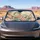 Eastern Dragon With Peony Blossoms Watercolor Fantasy Decor For Asian Aesthetic Fans Car Sunshade - 2