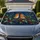 Realistic Robin Pair With Holly Berries For Winter Holiday Decor And Bird Lovers Car Sunshade - 1
