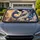 Celestial Yin Yang Dragon Fantasy With Roses And Stars For Mystic Home Decor Lovers Car Sunshade - 1
