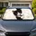 Peekaboo Tuxedo Kitten With Cozy Cream Paw Accents For Everyday Cat Lovers And Pet Moms Car Sunshade - 1