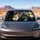 Calico Kitten Peeking Through Dark Glass For Whimsical Cozy Cat Lover Road Trips Car Sunshade - 4
