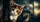 Calico Kitten Peeking Through Dark Glass For Whimsical Cozy Cat Lover Road Trips Car Sunshade - 6