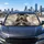 Gray American Bulldog Heart Paws Silver Bokeh Dog Lover Road Trip Decor Gift For Owners Car Sunshade - 5