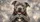 Gray American Bulldog Heart Paws Silver Bokeh Dog Lover Road Trip Decor Gift For Owners Car Sunshade - 6