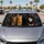 Four Realistic Cats On Charcoal Gray For Feline Lovers And Pet Parent Daily Style Car Sunshade - 5