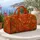 duiyfppz/products/6a4f7433c37d0a38ef67a6e2/gallery/d8U5ZoBV51