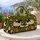 duiyfppz/products/6a506721714b2b40a109cd8b/gallery/v-lypyQcjA