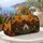 duiyfppz/products/6a54632155eb093bb1bf9fcb/gallery/ACTQ9GlXZ