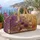 duiyfppz/products/6a54639af1ec71ac2c9b5e61/gallery/En-lOTVvj