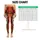 standard-leggings/oh9s0ik3FQ