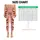 standard-leggings/T3WzUVD3R1