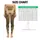 standard-leggings/LGGYaJOKzY