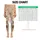 standard-leggings/0n_FXFqZ7H