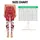 standard-leggings/O5yLP8OQp_