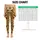 standard-leggings/5ZBqywFEYF
