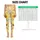 standard-leggings/unnR21Cigk