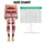 standard-leggings/ZlD_f4BMjX