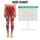 standard-leggings/p0GYeq_Z8w