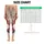 standard-leggings/FiN71x32J6