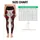 standard-leggings/TLemnfmAXu