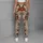 Christmas Gnomes Holly And Knit Motifs For Cozy Nordic Holiday Outfits For Women Leggings - 4