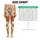standard-leggings/DAWfVoyEVE