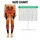 standard-leggings/lkxknVM4ho