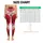 standard-leggings/IErEOOFQiP