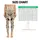 standard-leggings/kHE2RVxzKA