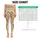 standard-leggings/ceHYpe6RAm