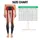 standard-leggings/DKpSDMwk2W