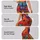 standard-leggings/diX7JqdzvR