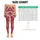 standard-leggings/AClAZTnR6c