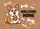 Plump Corgi Dog Cookie Welcome Home - Cheerful Entryway Decor Gift for Pet Parents Doormat - 7
