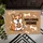 Plump Corgi Dog Cookie Welcome Home - Cheerful Entryway Decor Gift for Pet Parents Doormat - 6