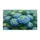 Vibrant Botanical Hydrangea Blooms Lush Greenery - Home Decor Gift Doormat - 3
